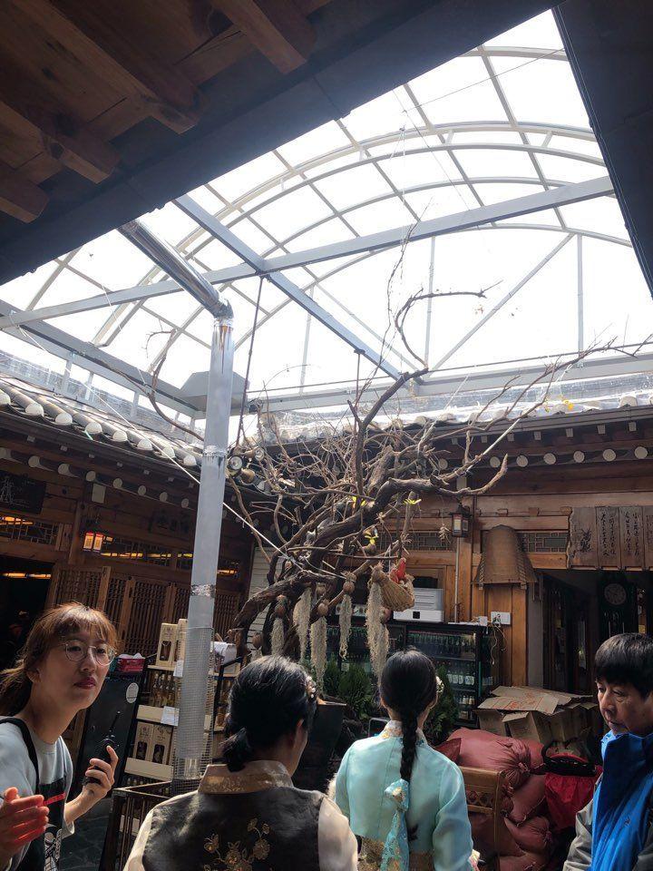 【Gyeongbokgung Must Eat】The Unmimicable Taste: An Honest review of Tosokchon Samgyetang (Korean Ginseng Chicken Soup)